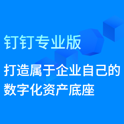 钉钉专业版